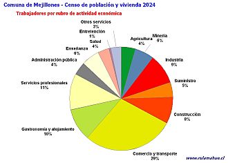 Número de trabajadores por rubro de actividad en el año 2024