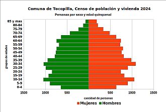 Pirámide de edades