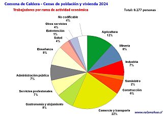 Número de trabajadores por rubro de actividad en el año 2024
