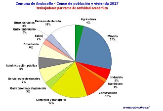 Número de trabajadores por rama de actividad en el año 2017