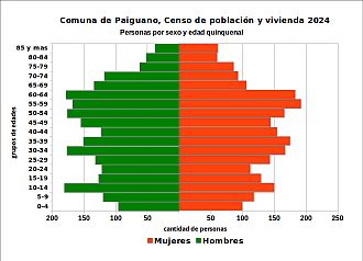 Pirámide de edades