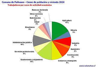 Número de trabajadores por rubro de actividad en el año 2024