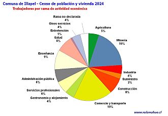 Número de trabajadores por rubro de actividad en el año 2024