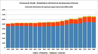 Número de empresas entre 2005 y 2024