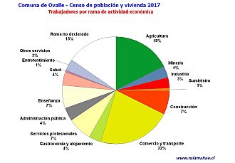 Número de trabajadores por rama de actividad en el año 2017
