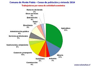 Número de trabajadores por rubro de actividad en el año 2024