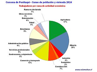 Número de trabajadores por rubro de actividad en el año 2024