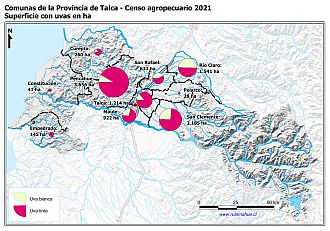 Mapa con gráficos de torta por comuna que muestran la composición de las superficies con uvas