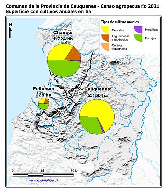 Mapa con gráficos de torta por comuna que muestran la composición de los cultivos anuales