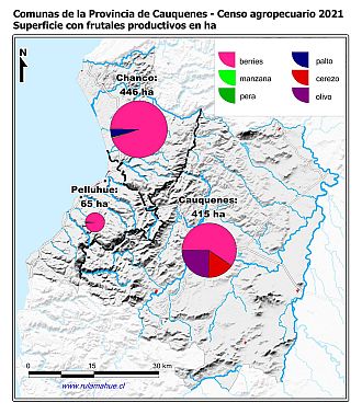 Mapa con gráficos de torta por comuna que muestran la composición de las superficies con frutales
