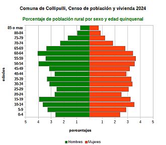 Piramide de edades de la población rural