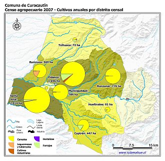 Mapa con gráficos de torta que muestran los diferentes tipos de cultivos anuales por distrito censal