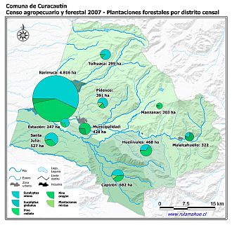 Mapa con gráficos de torta que muestran los diferentes tipos de arboles plantados por distrito censal