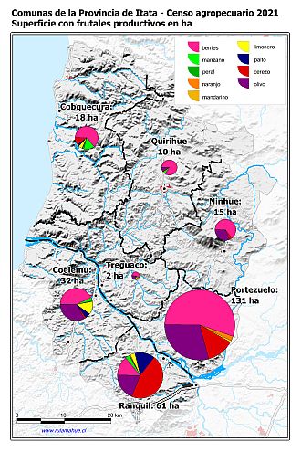 Mapa con gráficos de torta por comuna que muestran la composición de las superficies con frutales